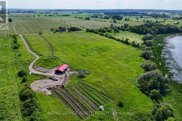 358 Faught Road, Whitewater Region, ON, photo 3