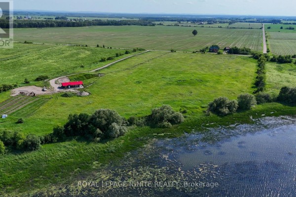 358 Faught Road, Whitewater Region, ON K0J1K0 Photo 4