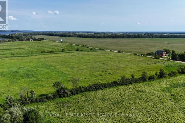358 Faught Road, Whitewater Region, ON K0J1K0 Photo 5