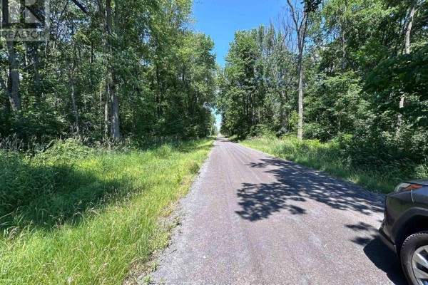 358 Townline Road, Greater Napanee, ON K0H1G0 Photo 4