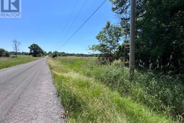 358 Townline Road, Greater Napanee, ON K0H1G0 Photo 5