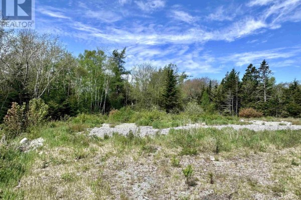 3583 Highway 3, East Green Harbour, NS B0T1L0 Photo 3
