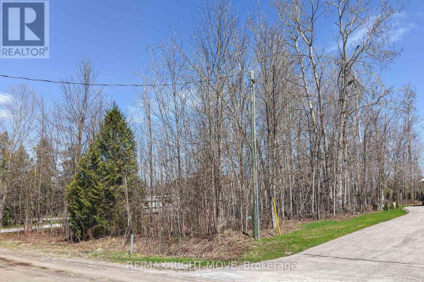 3585 Peter Street, Ramara, ON L0K1B0 Photo 3