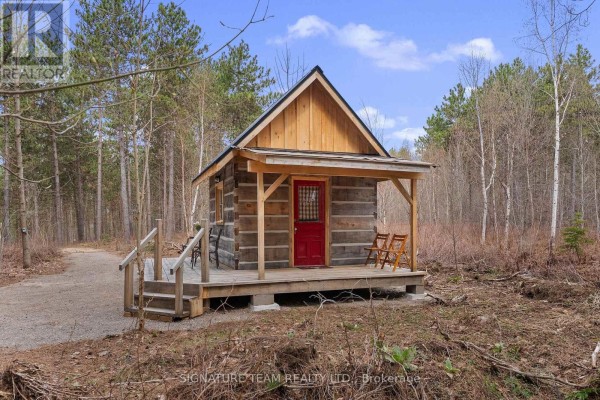 359 Dittburner Road, Whitewater Region, ON K0J1V0 Photo 4