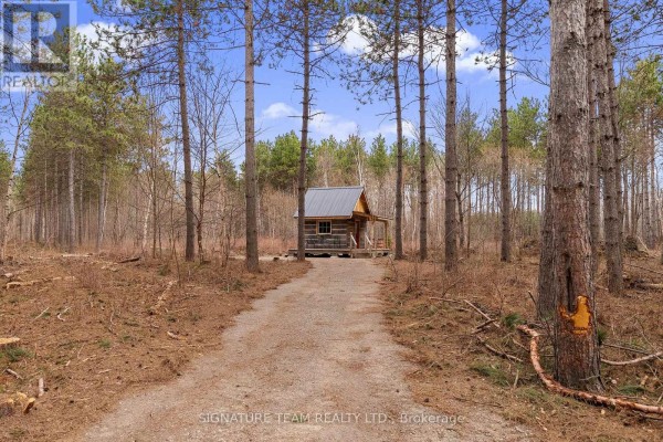 359 Dittburner Road, Whitewater Region, ON K0J1V0 Photo 5