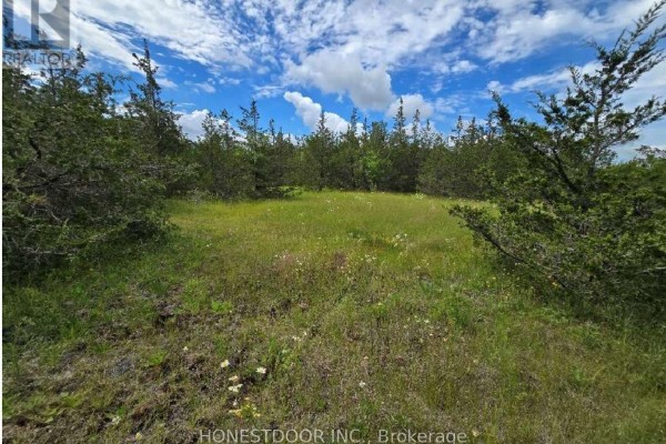 359 Goodyear Road, Greater Napanee, ON, photo 3