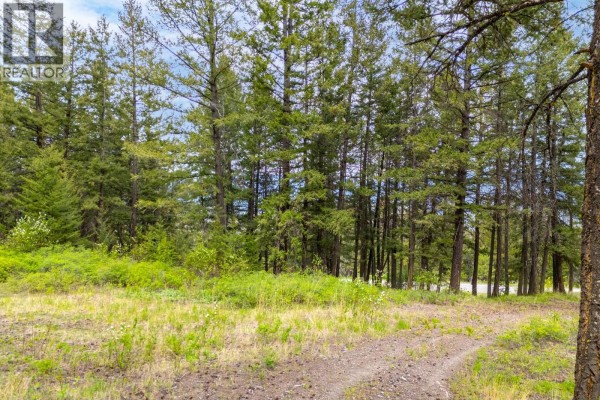 3596 Fox Farm Road, Merritt, BC V1K1B8 Photo 2