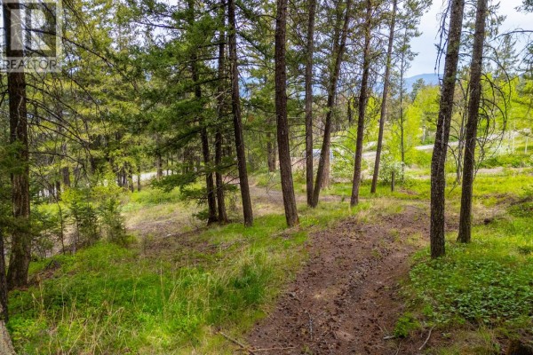 3596 Fox Farm Road, Merritt, BC V1K1B8 Photo 4