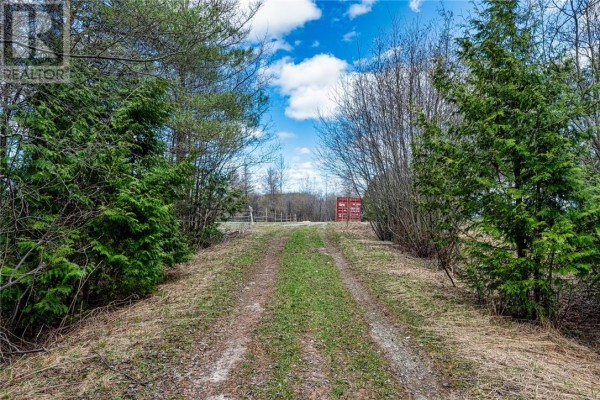 3599 Highway 64, Noelville, ON P0M2N0 Photo 2