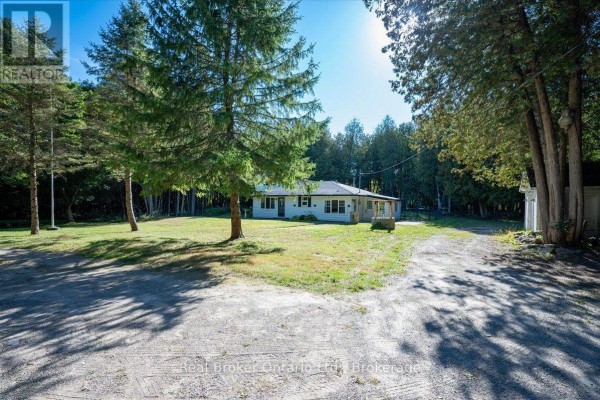 Family room - 36 Ash Street, Guelph/eramosa, ON N0B1P0 Photo 2