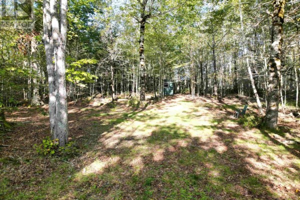 36 Blue Jay Road, Molega Lake, NS B4V8S9 Photo 2