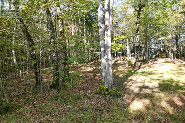 36 Blue Jay Road, Molega Lake, NS B4V8S9 Photo 3