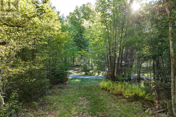 36 Blue Jay Road, Molega Lake, NS B4V8S9 Photo 4