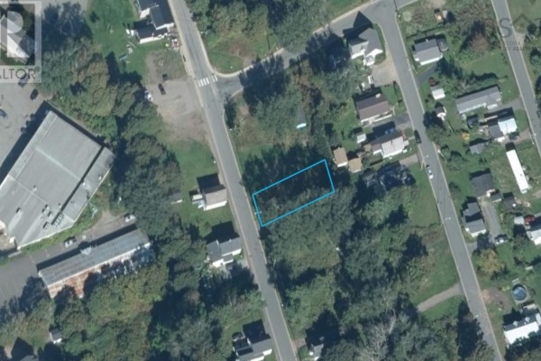 Aerial view of a residential lot with trees and houses, outlined in blue. - 36 Church Street, Springhill