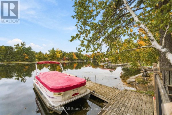 Pontoon boat covered with a red tarp docked at a wooden pier on the lake. - 36 Jack Pine Way, Trent Lakes