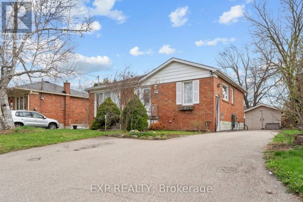 Kitchen - 36 Shelley Street, Halton Hills, ON L7G3W9 Photo 2
