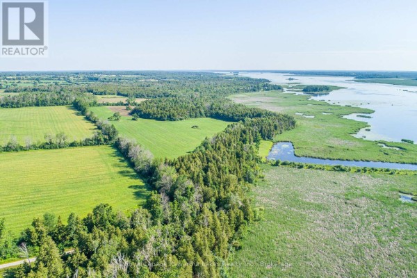 36 Spen Haven Road, Kawartha Lakes, ON K9V0K3 Photo 3
