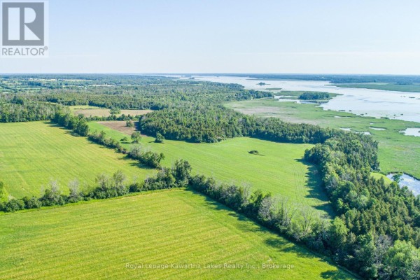 36 Spen Haven Road, Kawartha Lakes, ON K9V0K3 Photo 4