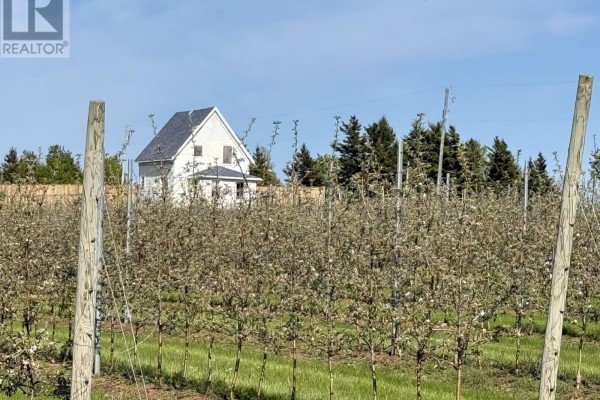 A small, yellow shed with a dark blue door sits in a grassy field next to rows of apple trees. - 36 Stan Pearson Road, Stanley Bridge