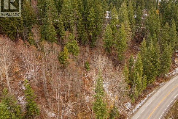 3605 Highway 3a & 6 Road, South Slocan, BC V0G2G3 Photo 4