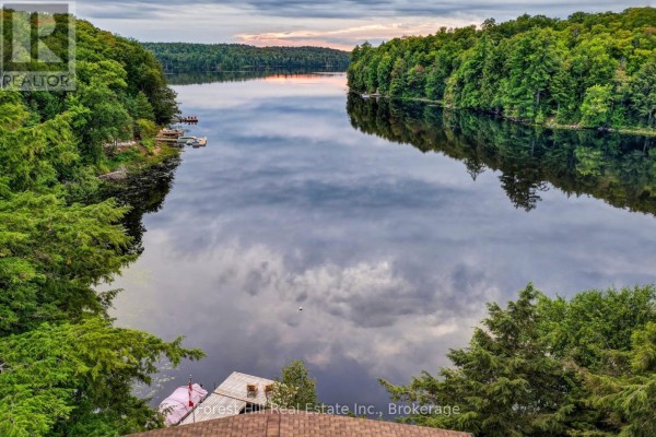 3611 Livingstone Lake Road, Algonquin Highlands, ON, photo 3