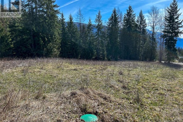 362 Meadow Creek Road, Meadow Creek, BC V0G1N0 Photo 2