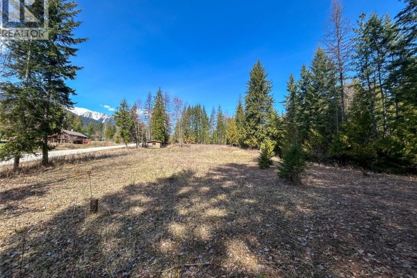 362 Meadow Creek Road, Meadow Creek, BC V0G1N0 Photo 3