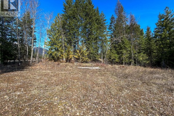 362 Meadow Creek Road, Meadow Creek, BC V0G1N0 Photo 4