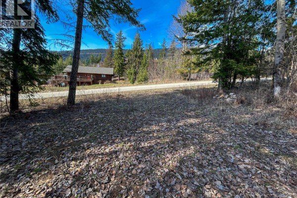 362 Meadow Creek Road, Meadow Creek, BC V0G1N0 Photo 5