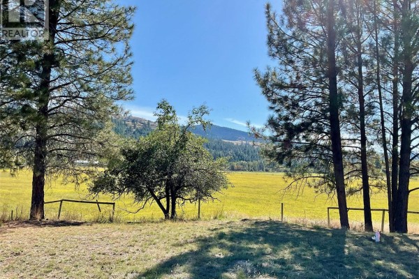 364 Fourth Avenue, Midway, BC V0H1M0 Photo 3