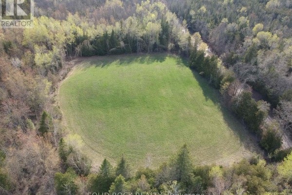 High-angle aerial shot of a lush green open field encircled by mixed trees, showing shadows cast by sunlight through the canopy. - 3643 10th Line East, Trent Hills