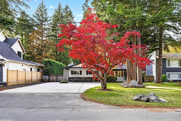 3643 204a Street, Langley, BC V3A4S5 Photo 4