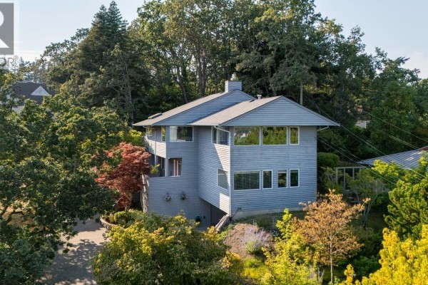 Patio - 3656 Cadboro Bay Rd, Oak Bay, BC V8R5K8 Photo 2