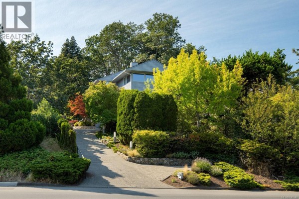 Family room - 3656 Cadboro Bay Rd, Oak Bay, BC V8R5K8 Photo 3