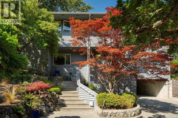 Kitchen - 3656 Cadboro Bay Rd, Oak Bay, BC V8R5K8 Photo 4