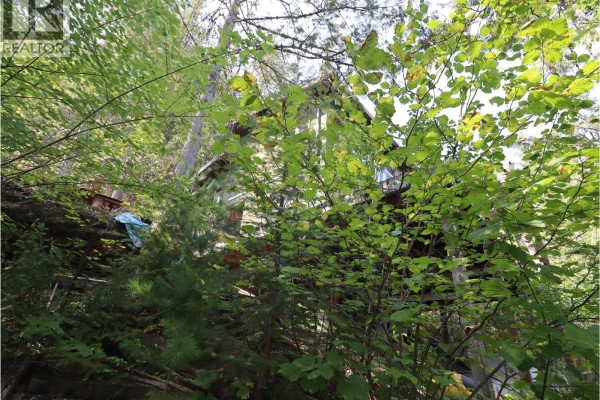 3658 Boat Access West Side Road, Christina Lake, BC, photo 3