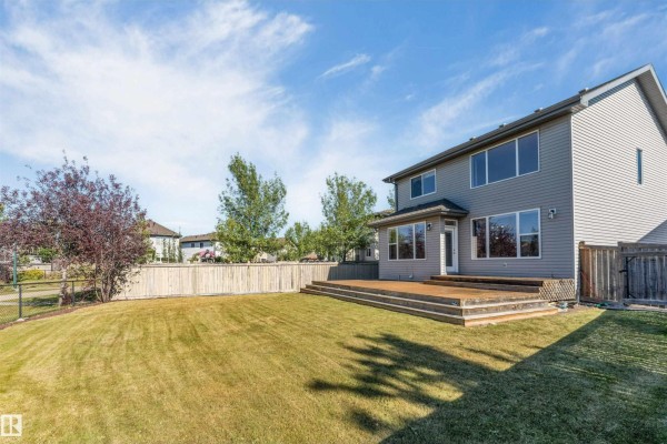 Den - 3662 13 St Nw Nw, Edmonton, AB T5T0J5 Photo 4