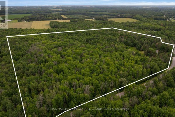 3664 Hogback Road, Clearview, ON, photo 2