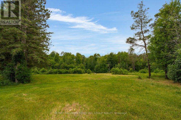 3664 Hogback Road, Clearview, ON L0M1N0 Photo 5