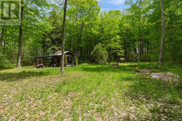36718 River Road, Ashfield Colborne Wawanosh, ON N0G2H0 Photo 4
