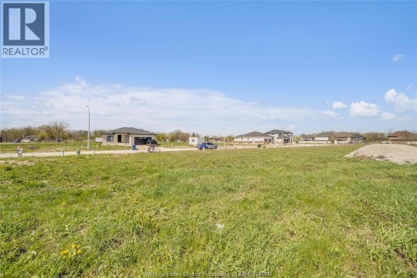 View across a grassy undeveloped lot with several new houses visible on the street. - 3674 Farrow Avenue, Windsor