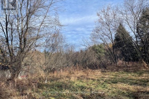 3678 Mccarthy Drive, Clearview, ON L0M1N0 Photo 4