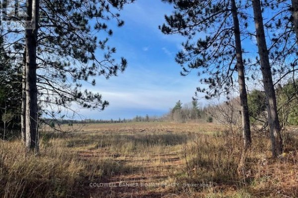 3678 Mccarthy Drive, Clearview, ON L0M1N0 Photo 5