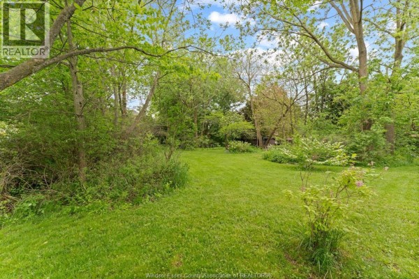 3699 Inglewood Avenue, Windsor, ON N9E4P3 Photo 4