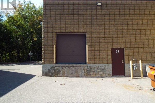 37 - 1621 Mcewen Drive, Whitby, ON L1N9A5 Photo 4