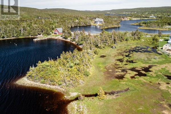 Overhead view of a large property with waterfront access, trees, and nearby scattered houses. - 37-39 Morrisseys Lane, Southeast Placentia