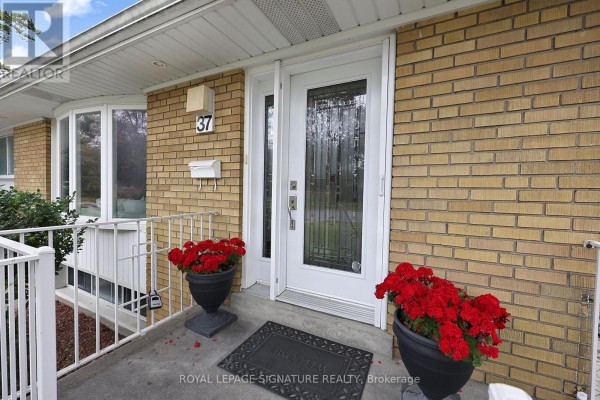 Kitchen - 37 Finchurst Drive, Toronto, ON M2R1K8 Photo 3
