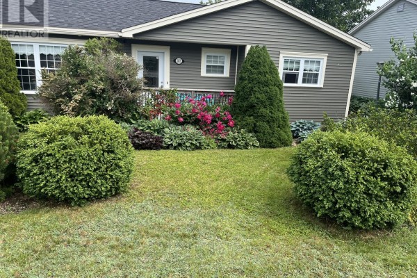 Close-up of bright pink peonies blooming in front of the house entrance. - 37 Gleneyre Street, St  John S