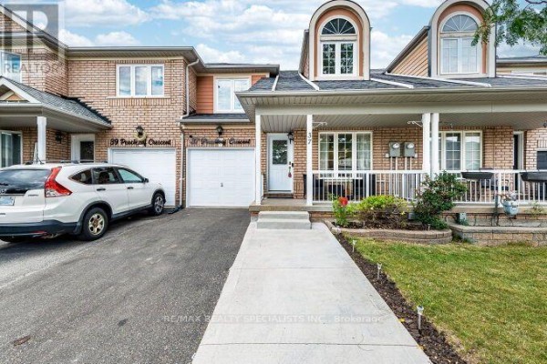 Kitchen - 37 Peachleaf Crescent, Brampton, ON L7A2B4 Photo 3