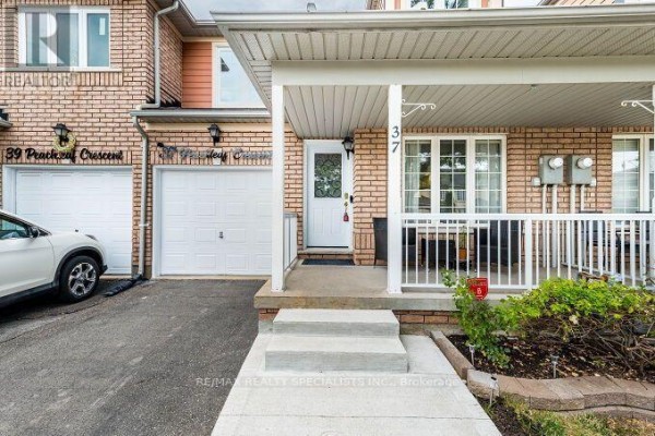 Family room - 37 Peachleaf Crescent, Brampton, ON L7A2B4 Photo 5